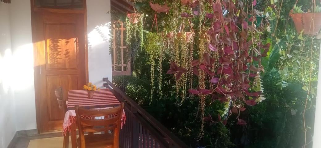 Jungle View One Bedroom Private Apartment 우나와투나 외부 사진